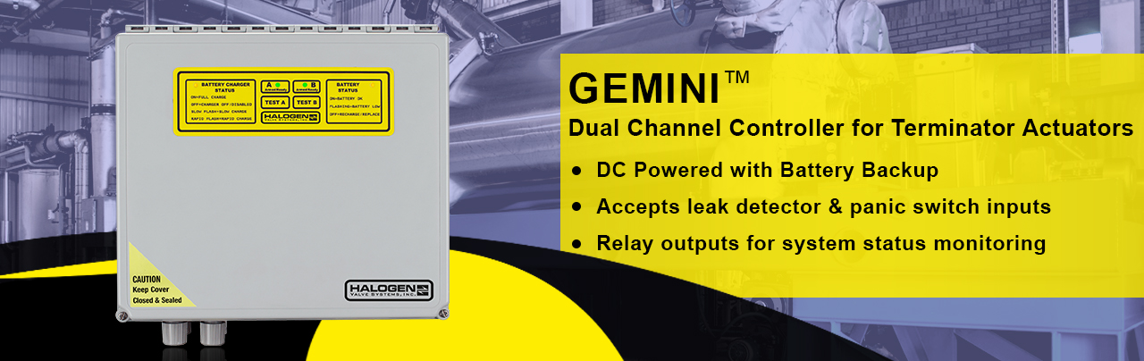 Gemini Controller